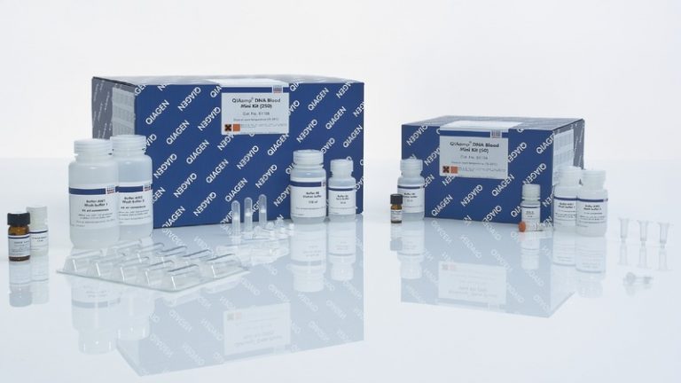 QIAamp DNA Blood Mini Kit (250) - 51106 - Qiagen » EAD SCIENTIFIC